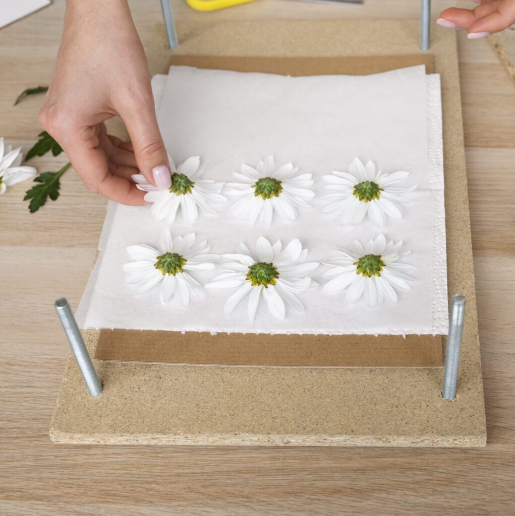ebook preservación de flores