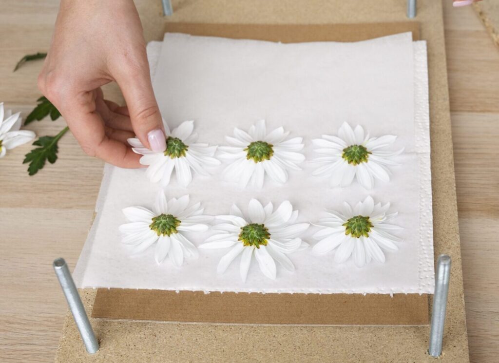 ebook preservación de flores