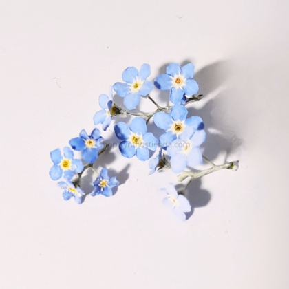 Flores Secas Nomeolvides para resina