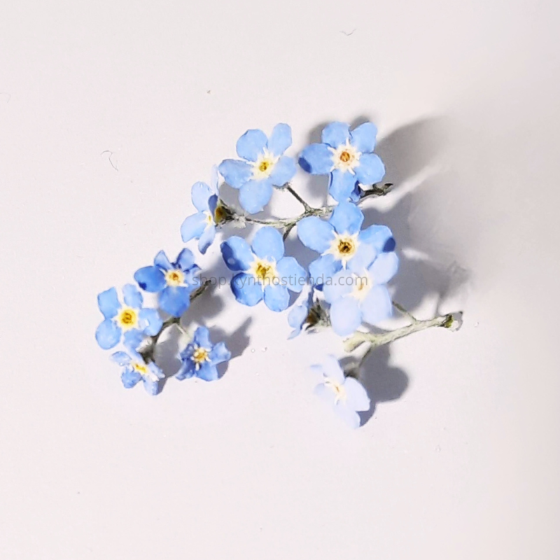 Flores Secas Nomeolvides para resina